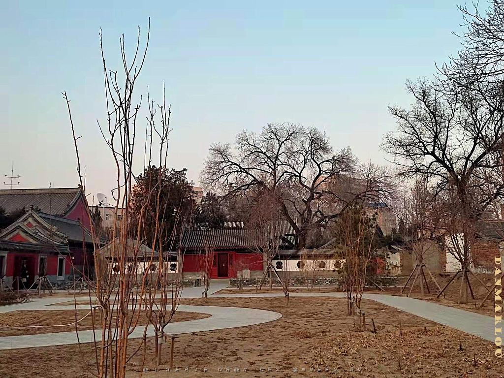 2023 02 05  PEKIN - WANSHOU TEMPLE LONGEVITE BIENVEILLANCE (52).jpg